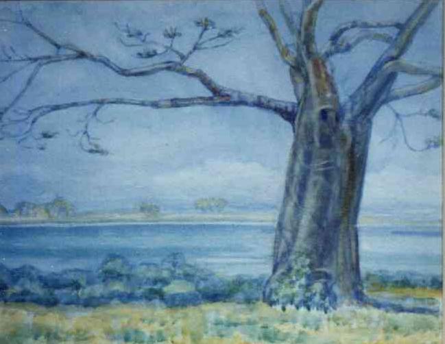 painting Baobab  tree by Mrs E M Thomson