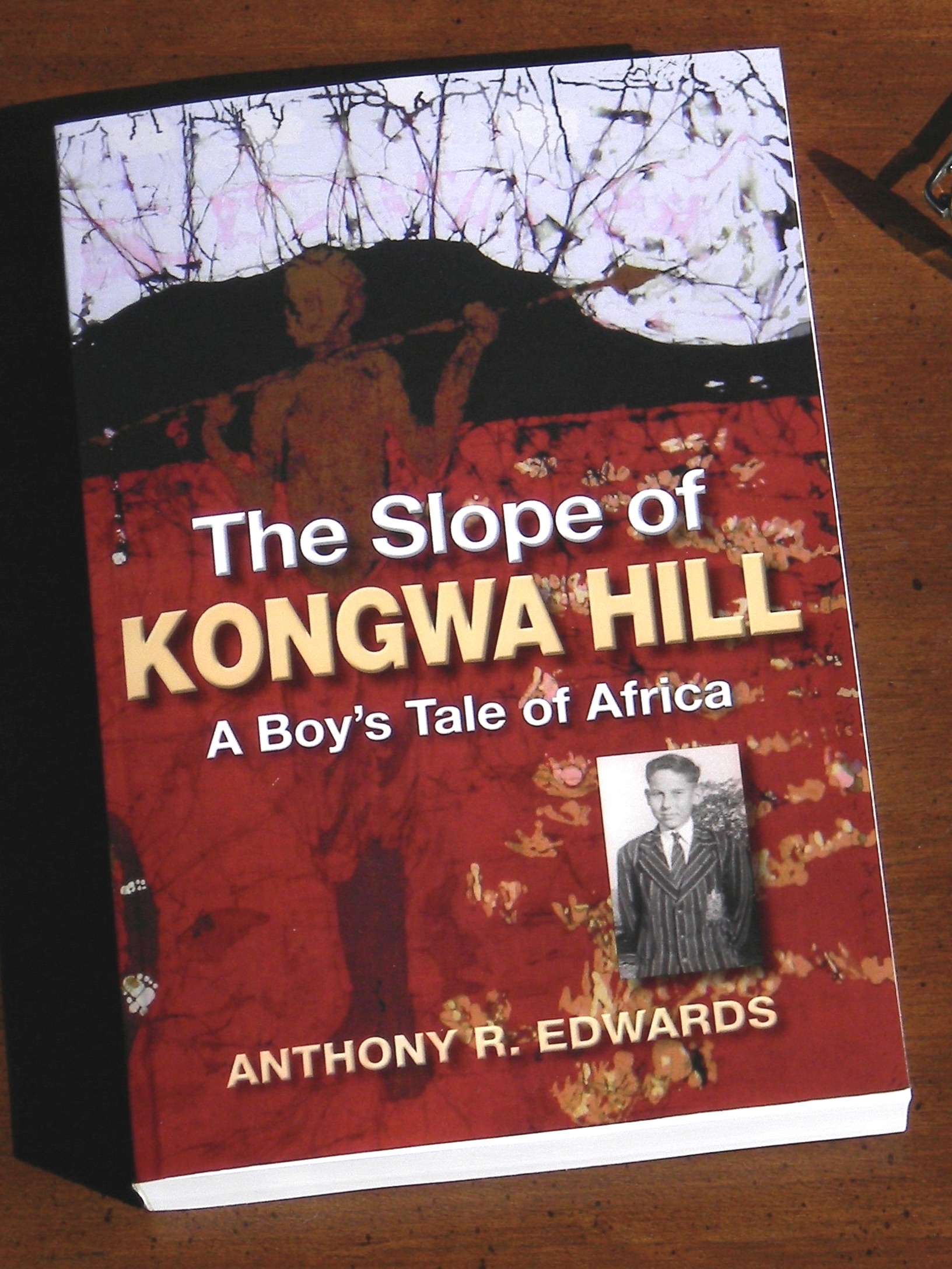 The Slope of Kongwa Hill by Tony Edwards