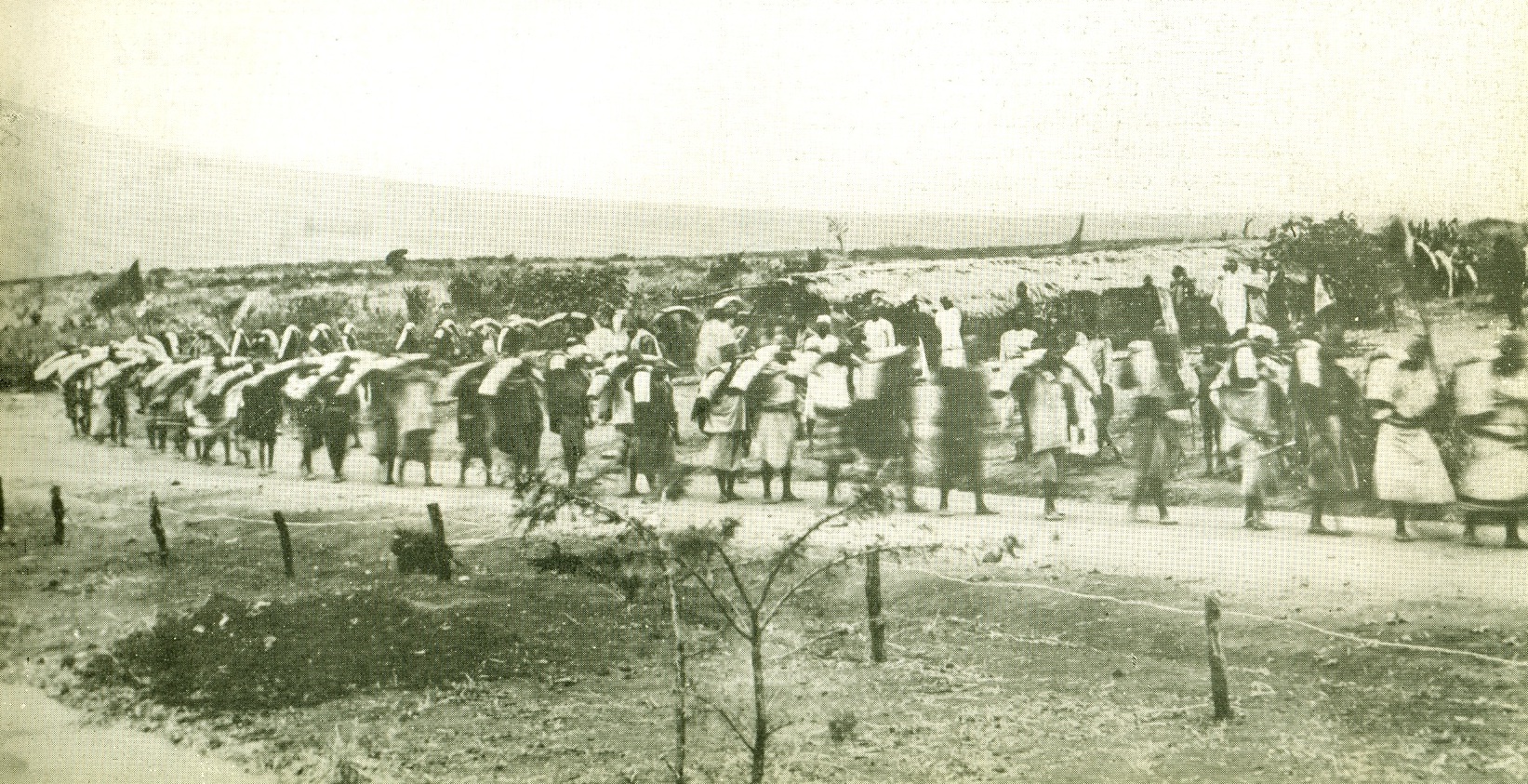 An ivory caravan at Machakos in 1895  in 1895 en route for the coast.